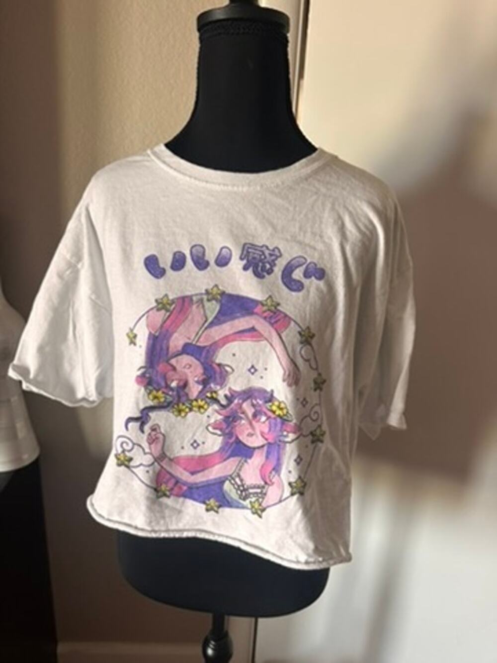 Hype Means Nothing Anime Graphic Crop Top Shirt | Pastel Manga Fairy Core M/L